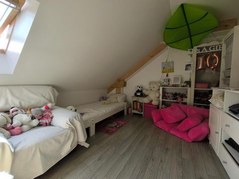 photo no. 7