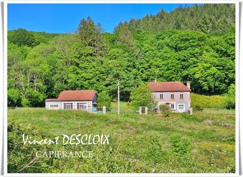 Dpt Nièvre (58), à vendre DUN LES PLACES maison P8 Terrain 1555m²