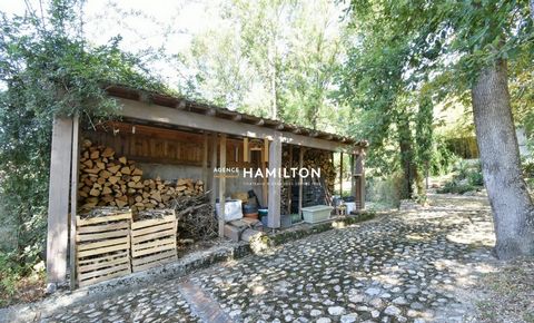 photo no. 13