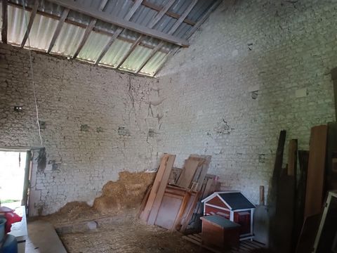 photo no. 8