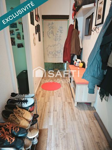 Appartement 2 pièces au cœur de Sarrebourg