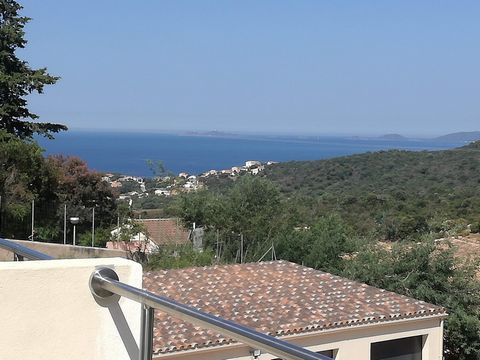 photo no. 1