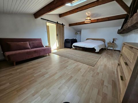 photo no. 11