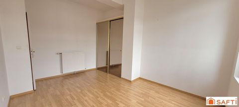 photo no. 12