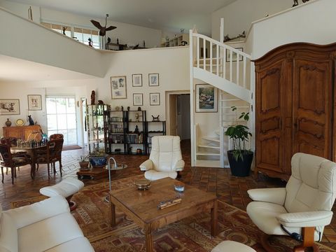 photo no. 11