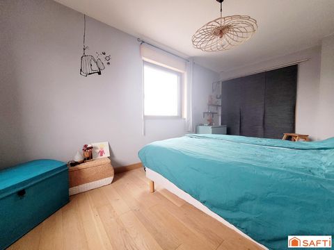 photo no. 8