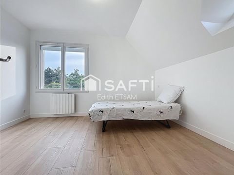 photo no. 11