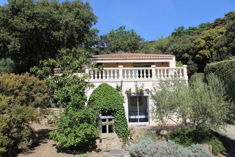 photo no. 14