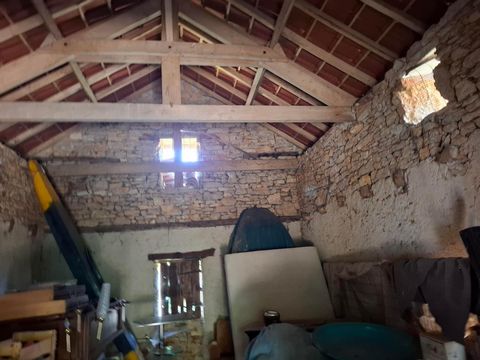 photo no. 15