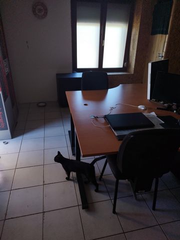 photo no. 10