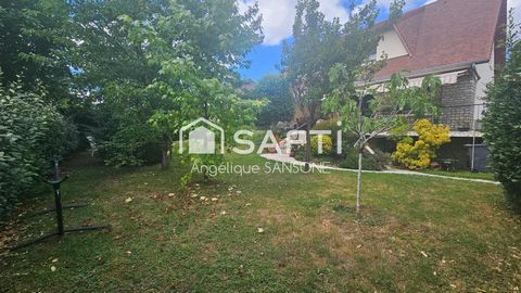 photo no. 13