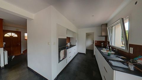 photo no. 2