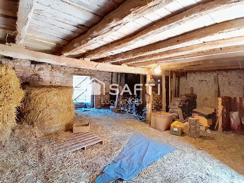 photo no. 10