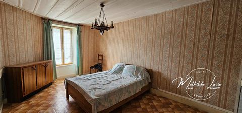 photo no. 15