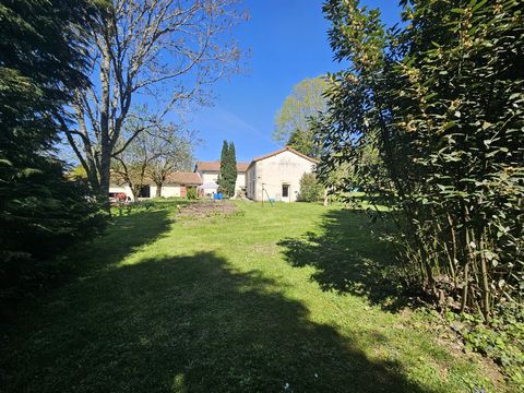photo no. 4