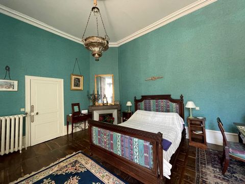 photo no. 6