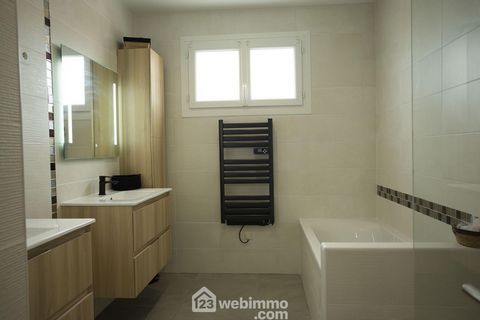 photo no. 11