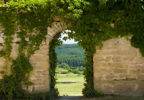AUDE DOMAINE 170 HA LAC GÎTES