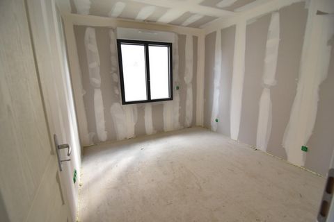 photo no. 5