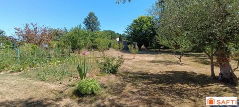 photo no. 11