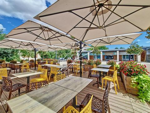 Brasserie