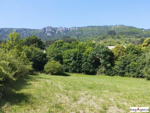photo no. 2
