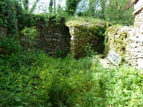 photo no. 21