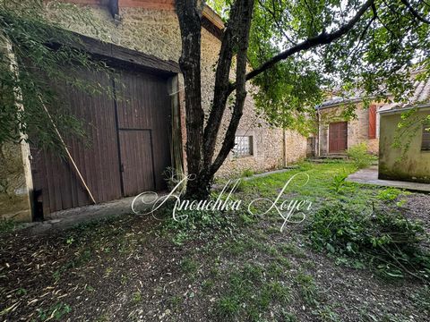photo no. 14