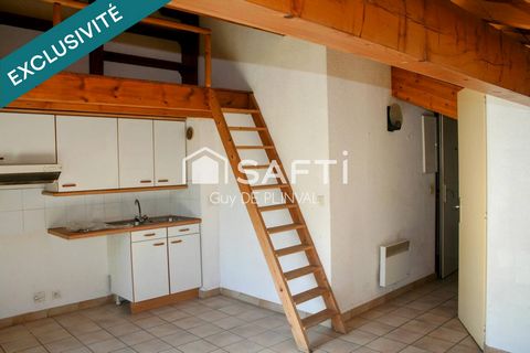 T2 traversant sous combles avec mezzanine – Centre village, proche frontière