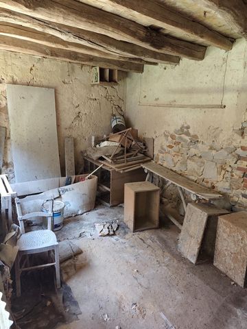 photo no. 19