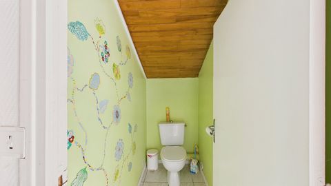 photo no. 12