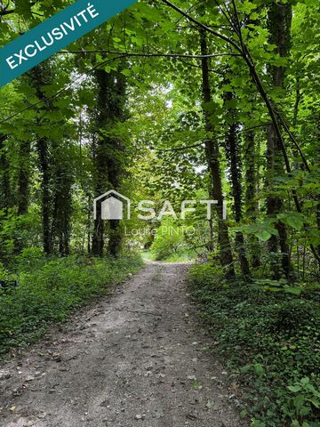 photo no. 16