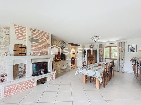 photo no. 12