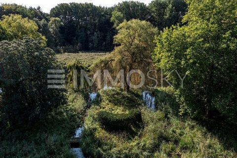 Building land XXL located directly on the Trave - water access with jetty. Idyllically nestled between old trees and directly on the water lies this wonderfully natural and quiet building land. The total area is about 8,700 sqm. About half of it is b...