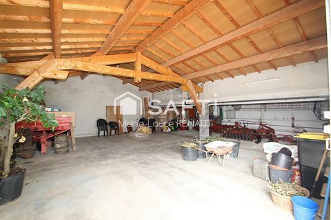 photo no. 6
