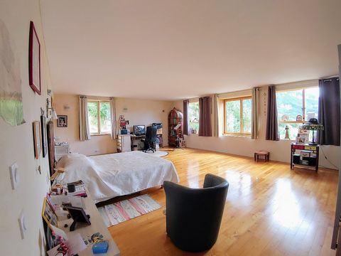 photo no. 22