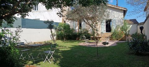 photo no. 14