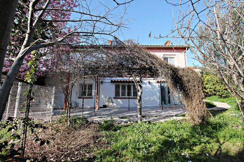 photo no. 18