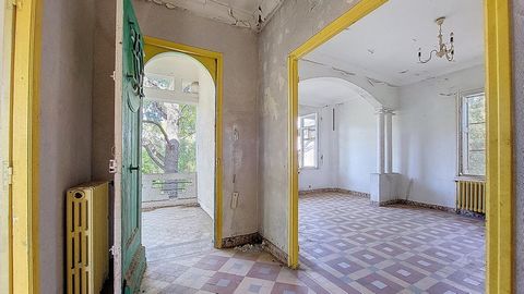 photo no. 3