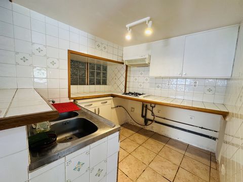 photo no. 8