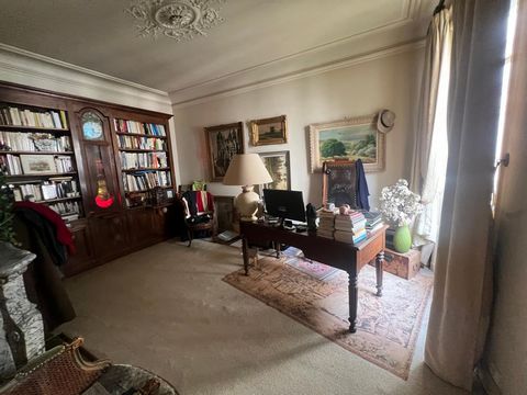 photo no. 6