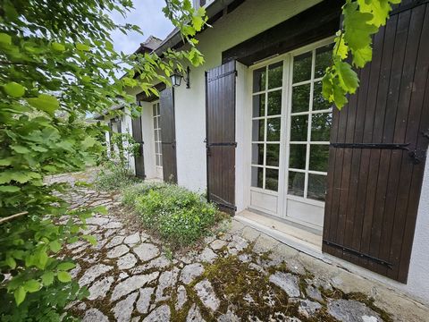photo no. 11