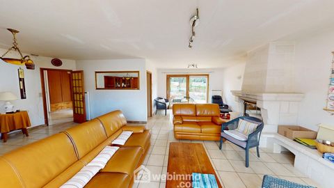 photo no. 16