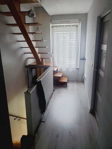 photo no. 7