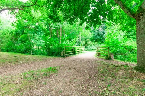 photo no. 16