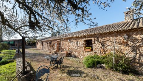 Farm with rustic , traditional 3 bedroom villa built with natural materials. Comprising three living rooms , two kitchens with pantry and wine cellar , three bedrooms and three bath rooms. Annexed to the house there is a studio that can be rented. Th...