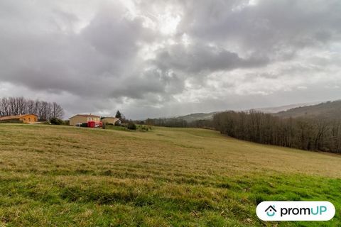 Le petit village de Peyzac-le-Moustier est niché au cœur du Périgord, en Dordogne, dans la région Nouvelle-Aquitaine, à moins d’une heure de Périgueux. Cette petite commune rurale, incontournable de la vallée Vézère, rassemble environ 219 habitants. ...