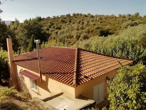 Agiokampos, Edipsos, Evia. For sale a traditional detached house  87 sq.m. on a large plot of 5.600 sq.m. with 120 olive trees (produces 1000 liters of olive oil). The building is a high ground floor with a tiled roof, it consists of a living room wi...