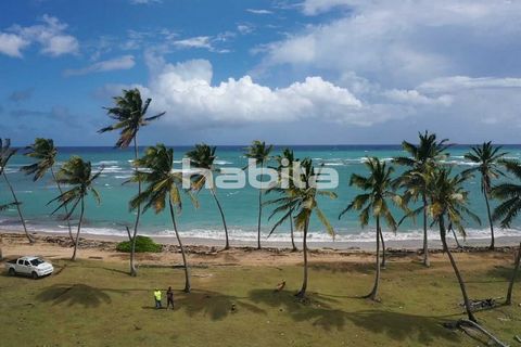 Terrain de plage pour hôtel de charme près de Punta Cana, à environ une heure de route de Punta Cana