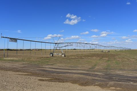 The Frihauf Farm consists of a 312 +/- acre level farm with approximately 200 acres irrigated by two newer Zimmatic Pivots with ample water rights from the Kiowa-Bijou basin. The farm includes 30 acres dryland cropland and the balance in grass and ex...